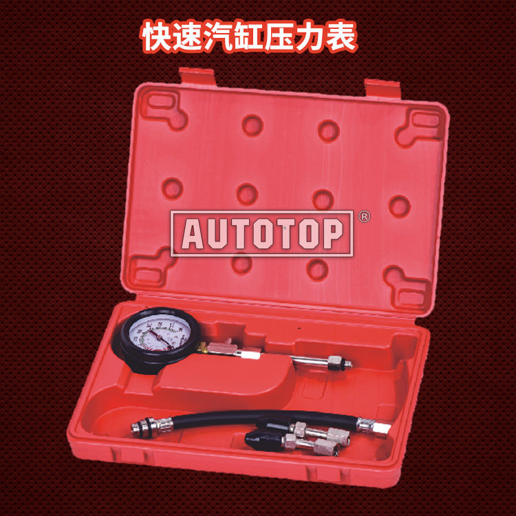 TU-20-1 快速汽缸压力表