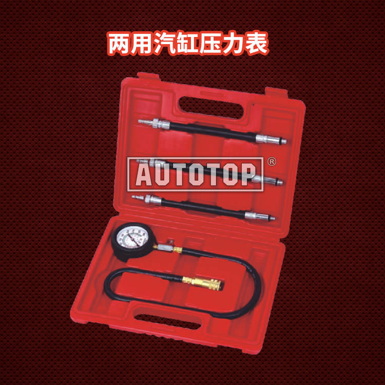 两用汽缸压力表