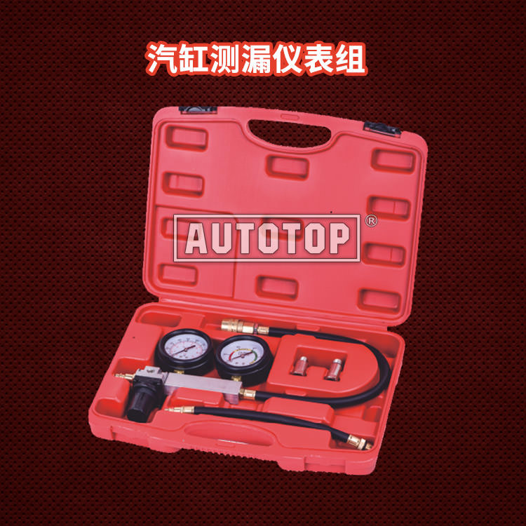 TU-21 汽缸测漏仪表组